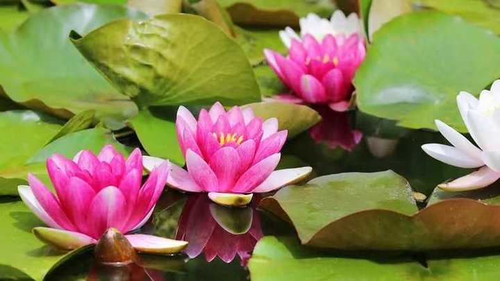 北京财经贸易学院(北京财经贸易学院：培养高素质经济管理人才的摇篮)