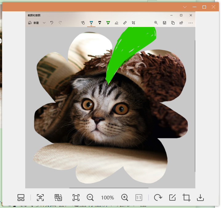 网页滚动截图怎么截(电脑截图的5种方法)