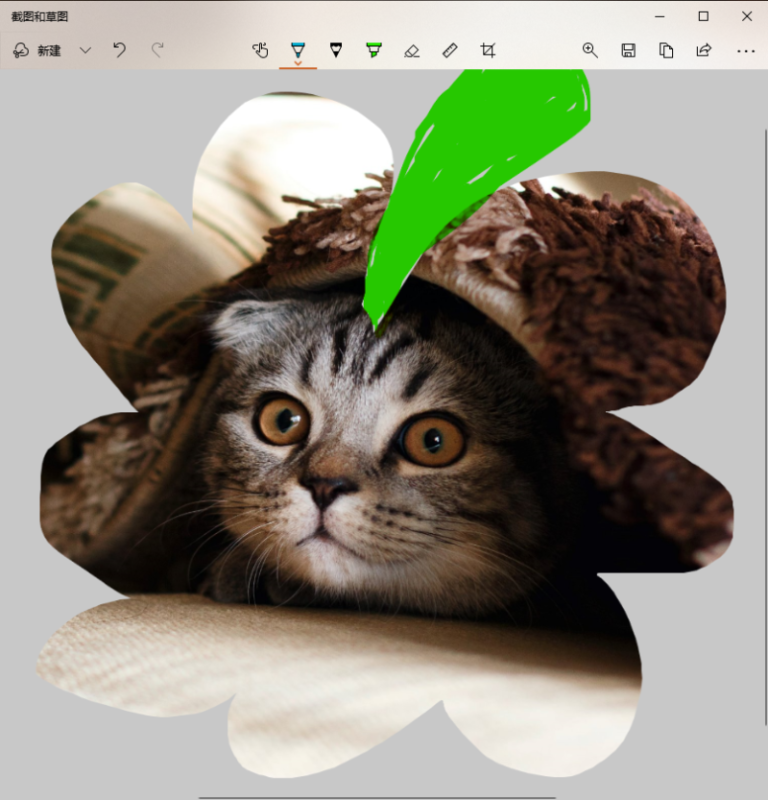 网页滚动截图怎么截(电脑截图的5种方法)