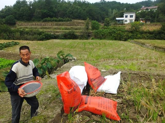 碳酸氢铵颜色图片大全(碳酸氢铵是好氮肥)