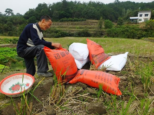 碳酸氢铵颜色图片大全(碳酸氢铵是好氮肥)