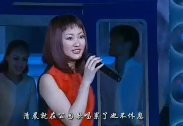 王菲个人简历及资料（被誉为王菲接班人）(4)