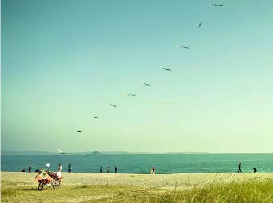 厦门旅游攻略3天详细（厦门四日游最全攻略）(9)