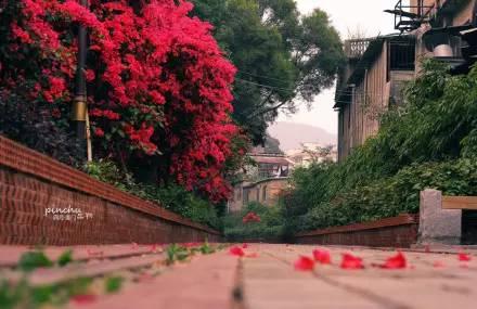 厦门旅游攻略3天详细（厦门四日游最全攻略）(18)