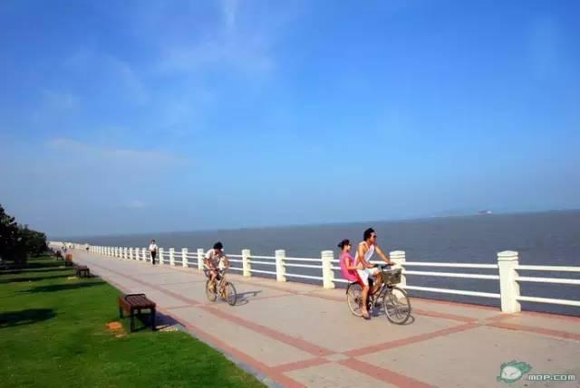 厦门旅游攻略3天详细（厦门四日游最全攻略）(10)