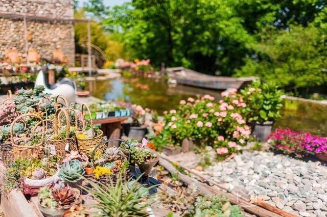 大理旅游十大必做攻略（吃的穿的住的玩的）(1)