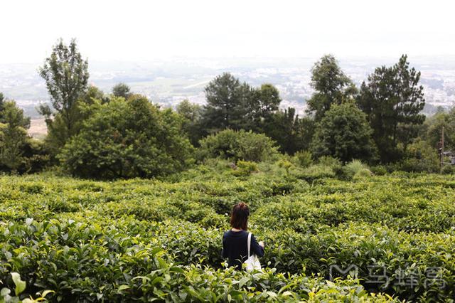 大理旅游十大必做攻略（吃的穿的住的玩的）(24)