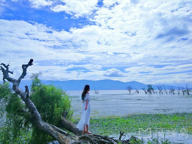 大理旅游十大必做攻略（吃的穿的住的玩的）(20)