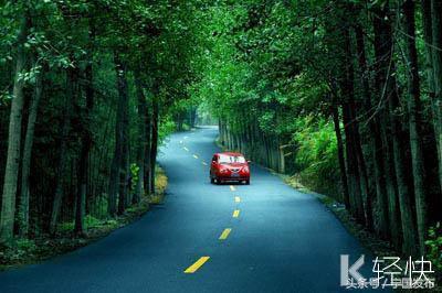 安徽省宁国市网（安徽宁国市情简介）(40)