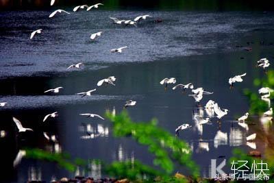 安徽省宁国市网（安徽宁国市情简介）(42)