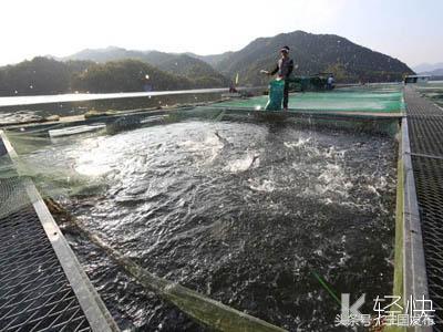 安徽省宁国市网（安徽宁国市情简介）(26)