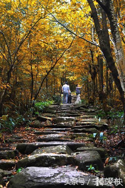 安徽省宁国市网（安徽宁国市情简介）(46)