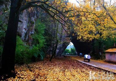 安徽省宁国市网（安徽宁国市情简介）(38)