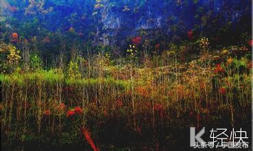 安徽省宁国市网（安徽宁国市情简介）(51)