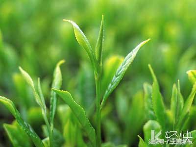 安徽省宁国市网（安徽宁国市情简介）(57)