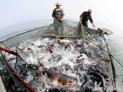 安徽省宁国市网（安徽宁国市情简介）(28)