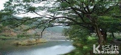 安徽省宁国市网（安徽宁国市情简介）(53)