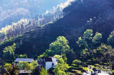 安徽省宁国市网（安徽宁国市情简介）(19)