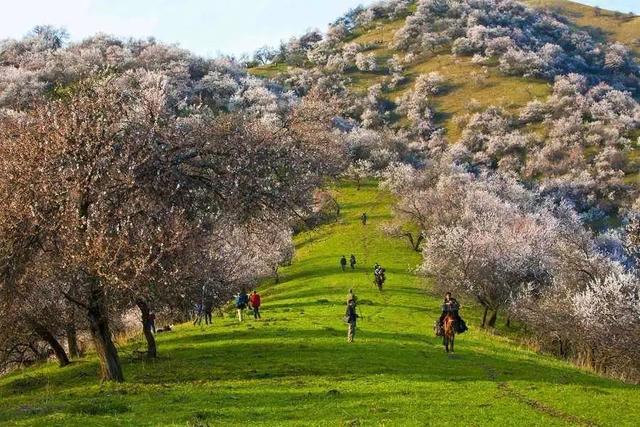 五一小长假来临旅游攻略（这10个超美又小众的旅行地）(37)