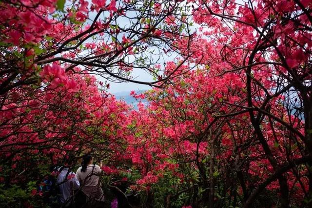 五一小长假来临旅游攻略（这10个超美又小众的旅行地）(7)