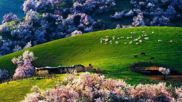 五一小长假来临旅游攻略（这10个超美又小众的旅行地）(36)