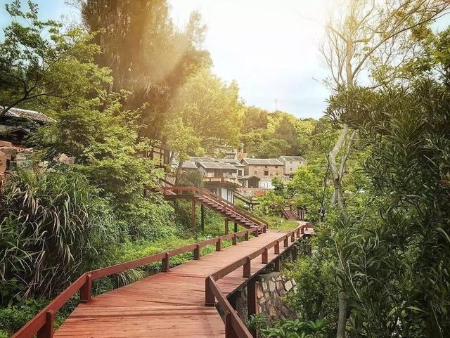 洞头旅游必去十大景点推荐（你绝对没看过最详细的洞头旅游攻略）(31)