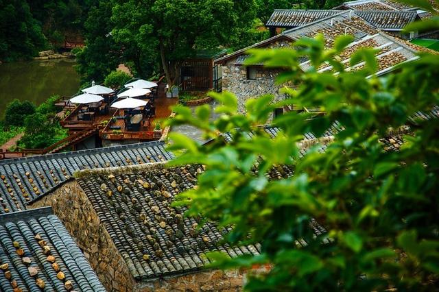 洞头旅游必去十大景点推荐（你绝对没看过最详细的洞头旅游攻略）(32)