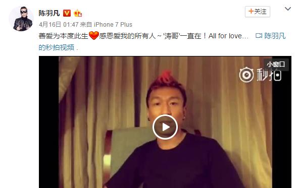 白百何与陈羽凡为什么离婚(陈羽凡白百何出轨)(15)