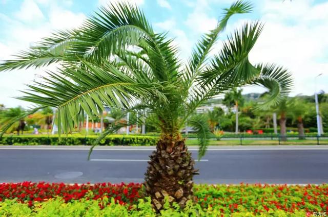 西虹市首富场景图（西虹市首富爆红）(8)