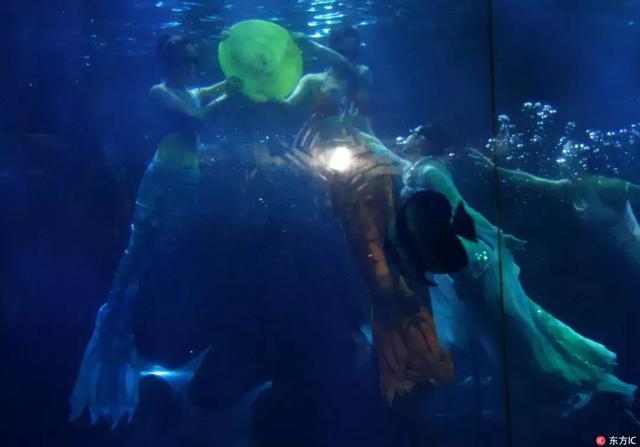 西虹市首富场景图（西虹市首富爆红）(23)