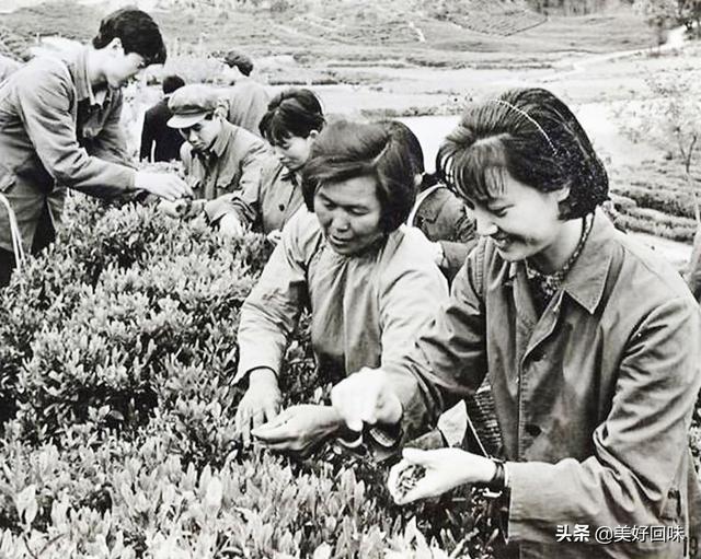 杨春霞饰演的白骨精（样板戏杜鹃山柯湘西游记白骨精）(4)