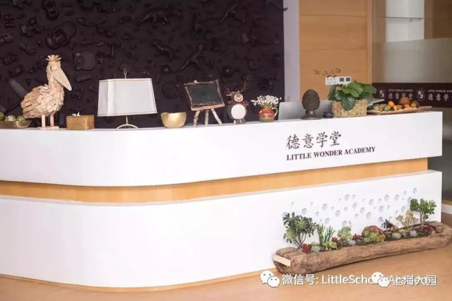 上海10所口碑爆棚的小众幼儿园名单（上海10所口碑爆棚的小众幼儿园）(19)