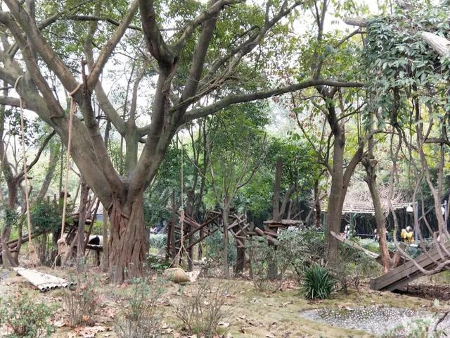 成都三天两晚自由行攻略（穷游也可以玩的高质量）(47)