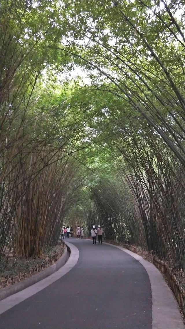 成都三天两晚自由行攻略（穷游也可以玩的高质量）(44)