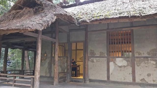 成都三天两晚自由行攻略（穷游也可以玩的高质量）(36)