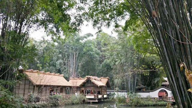 成都三天两晚自由行攻略（穷游也可以玩的高质量）(33)