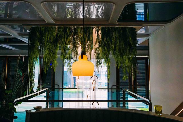 成都人气最旺的网红餐厅，一篇攻略打卡成都六大网红餐厅(29)