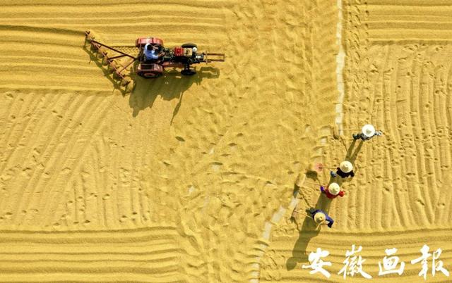 安徽省庐江在线网（风华正安徽奔跑中的庐江）(11)