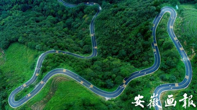 安徽省庐江在线网（风华正安徽奔跑中的庐江）(15)