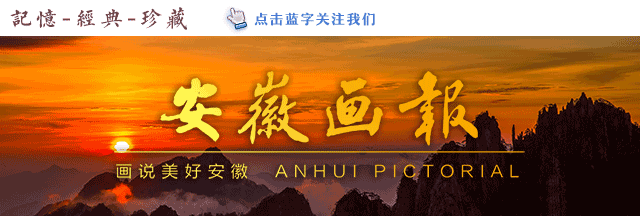 安徽省庐江在线网（风华正安徽奔跑中的庐江）(1)