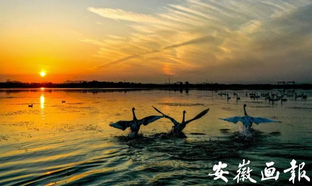 安徽省庐江在线网（风华正安徽奔跑中的庐江）(4)