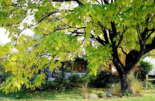 黑龙江鸡西旅游景点大全介绍（鸡西九个美得不像话的景色）(8)