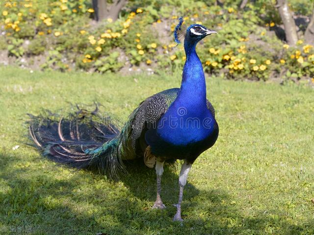 黑龙江鸡西旅游景点大全介绍（鸡西九个美得不像话的景色）(4)