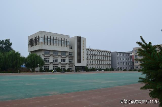 沈阳市铁西区教育信息网（沈阳教育沈阳市中等师范教育沿革）(6)