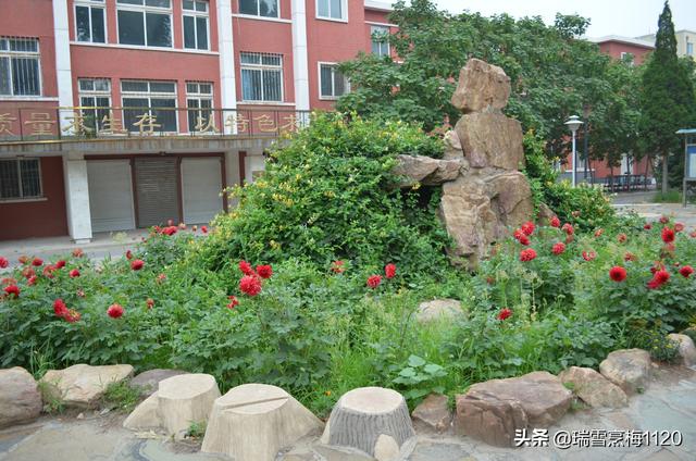 沈阳市铁西区教育信息网（沈阳教育沈阳市中等师范教育沿革）(7)