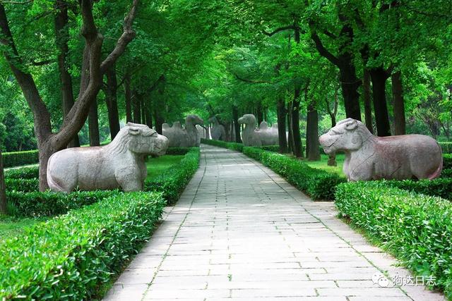 南京旅游必去的十大景点排行榜（南京旅游十大必看景点攻略）(13)