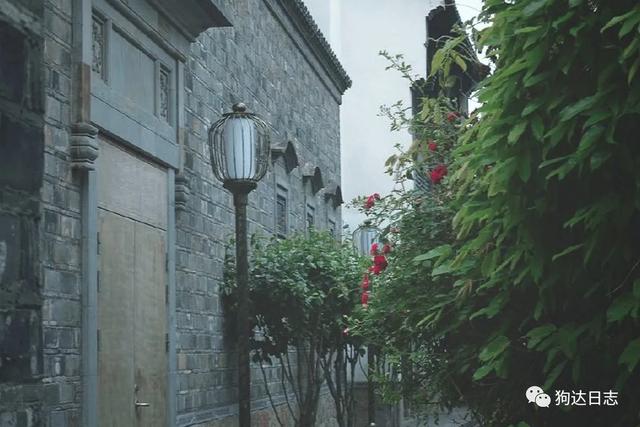 南京旅游必去的十大景点排行榜（南京旅游十大必看景点攻略）(5)