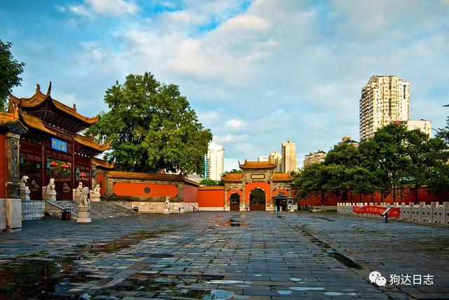 南京旅游必去的十大景点排行榜（南京旅游十大必看景点攻略）(11)