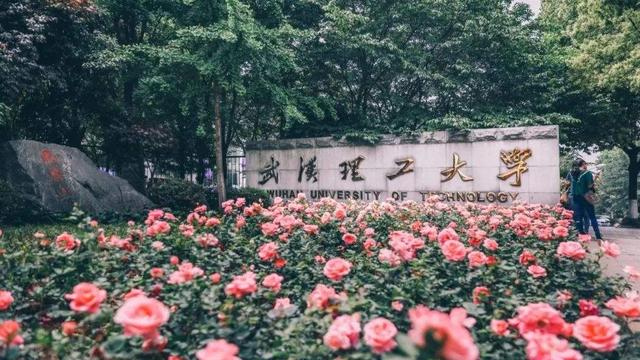 湖北省最好的十五所大学排名（湖北最好的15所大学排名）(8)