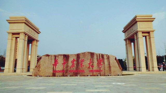 湖北省最好的十五所大学排名（湖北最好的15所大学排名）(4)